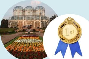 Melhor Plano de Saude Curitiba